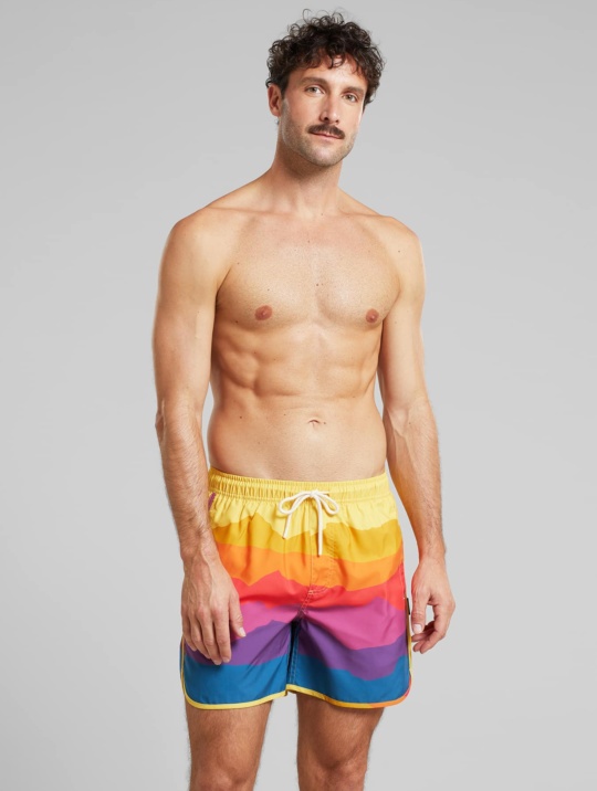 Badebekleidung Badehose Sandhamn Sunset Lines Dedicated Multi Color 1