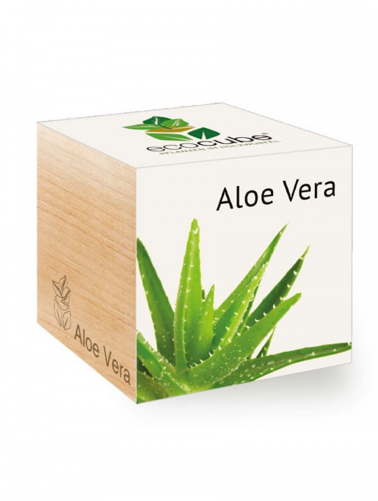 Ecocube Feel Green Aloe Vera 2