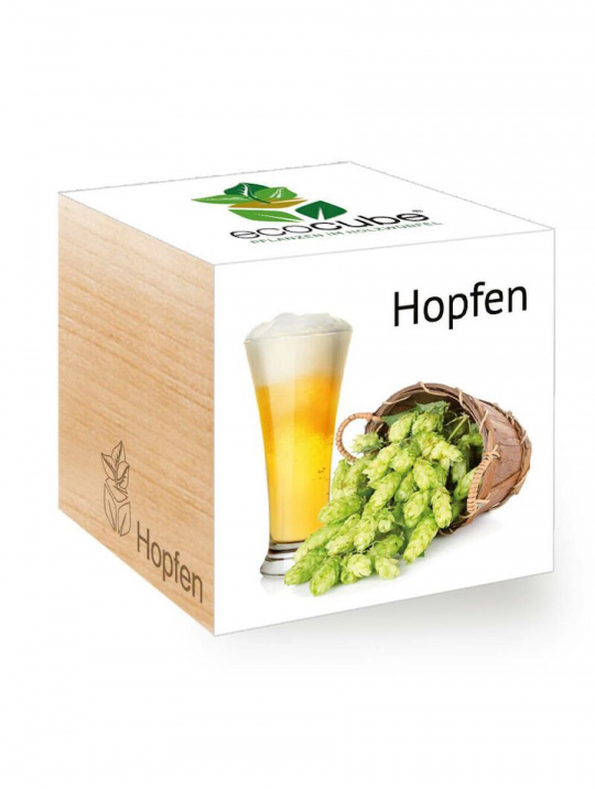 Ecocube Feel Green Hopfen