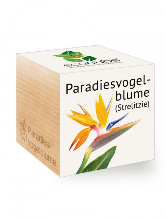 Ecocube Feel Green Paradiesvogelblume Strelizie