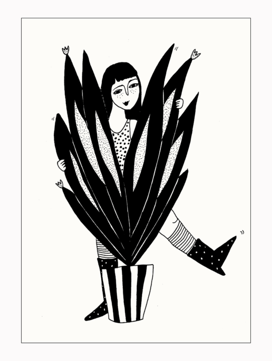 Postkarte Big Sanseveria Helenb 1