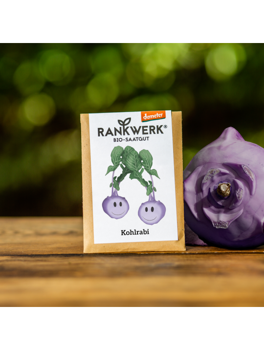 Rankwerk Saatgut Kiel Demeter Kohlrabi