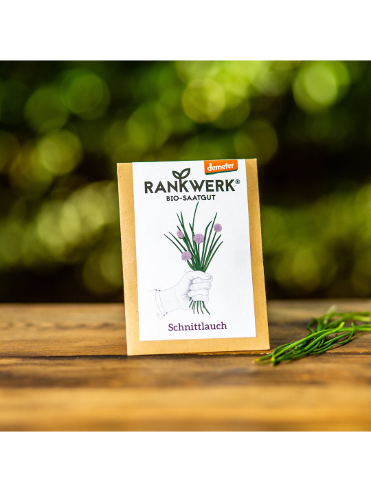 Rankwerk Saatgut Kiel Demeter Schnittlauch
