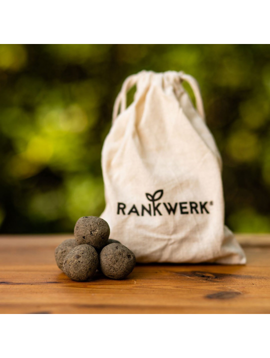 Rankwerk Saatgut Kiel Demeter Seedbombs