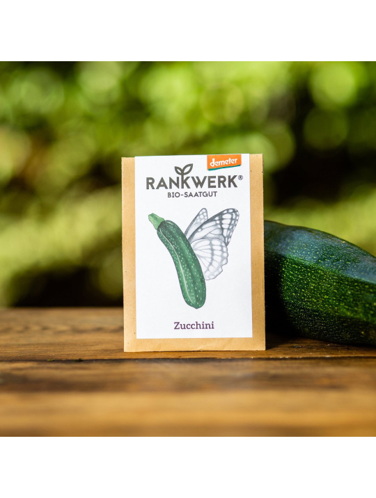 Rankwerk Saatgut Kiel Demeter Zucchnini