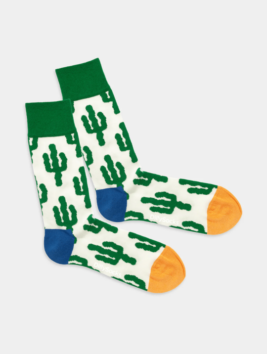 Socken Socken Desert Plants Dilly Socks 2