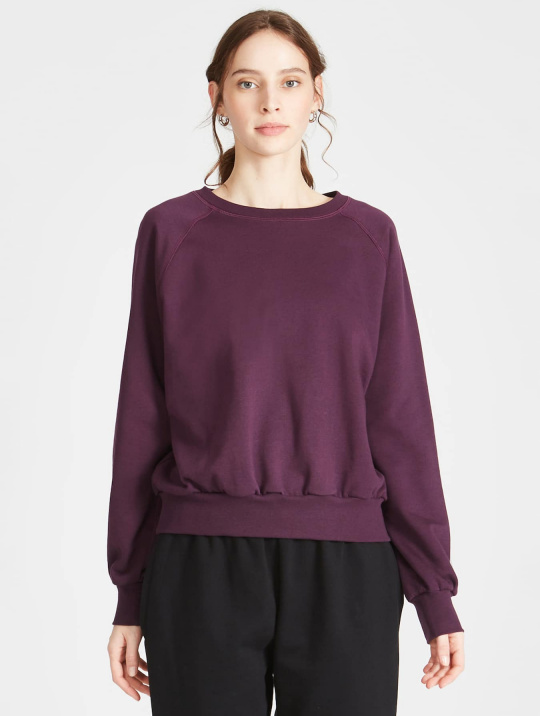 Sweatshirts & Hoodies Sweatshirt Dede Givn Deep Purple 1