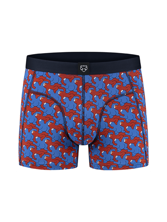 Unterwäsche Boxer Briefs Elmo & Cookie A Dam 1